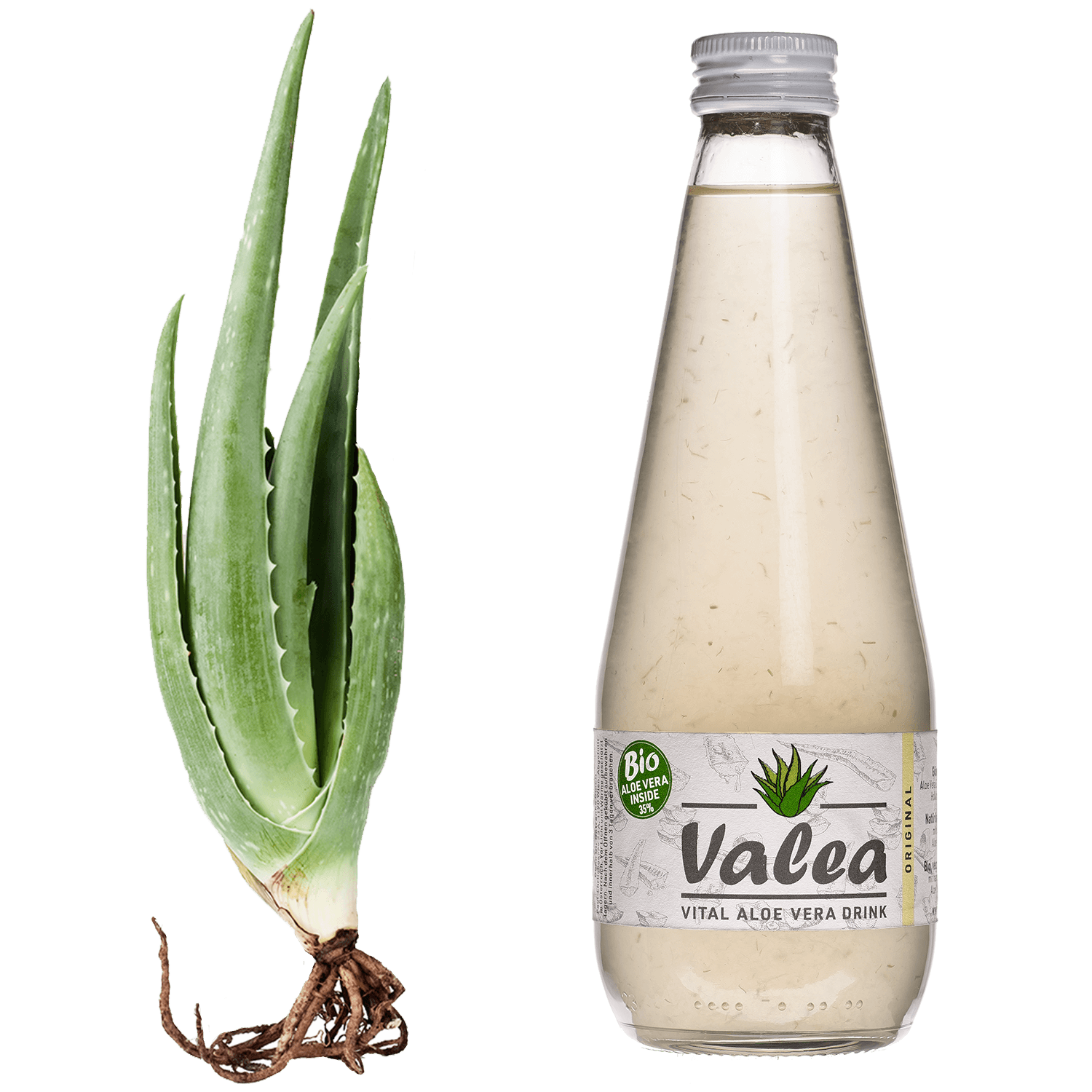 Aloe Vera Flasche